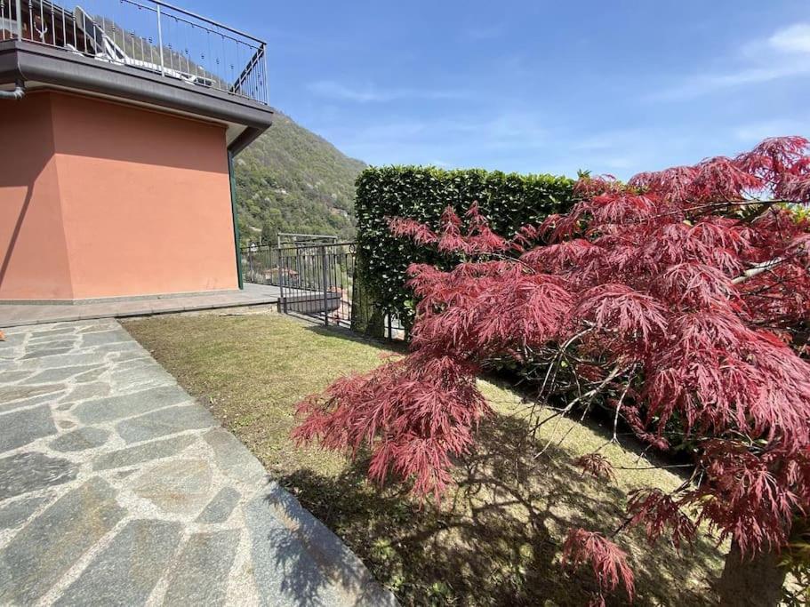 San Sisinio Apartment Argegno Εξωτερικό φωτογραφία
